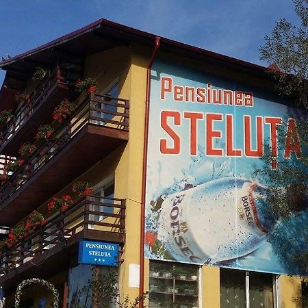 Pensiunea Steluta プレデアル エクステリア 写真